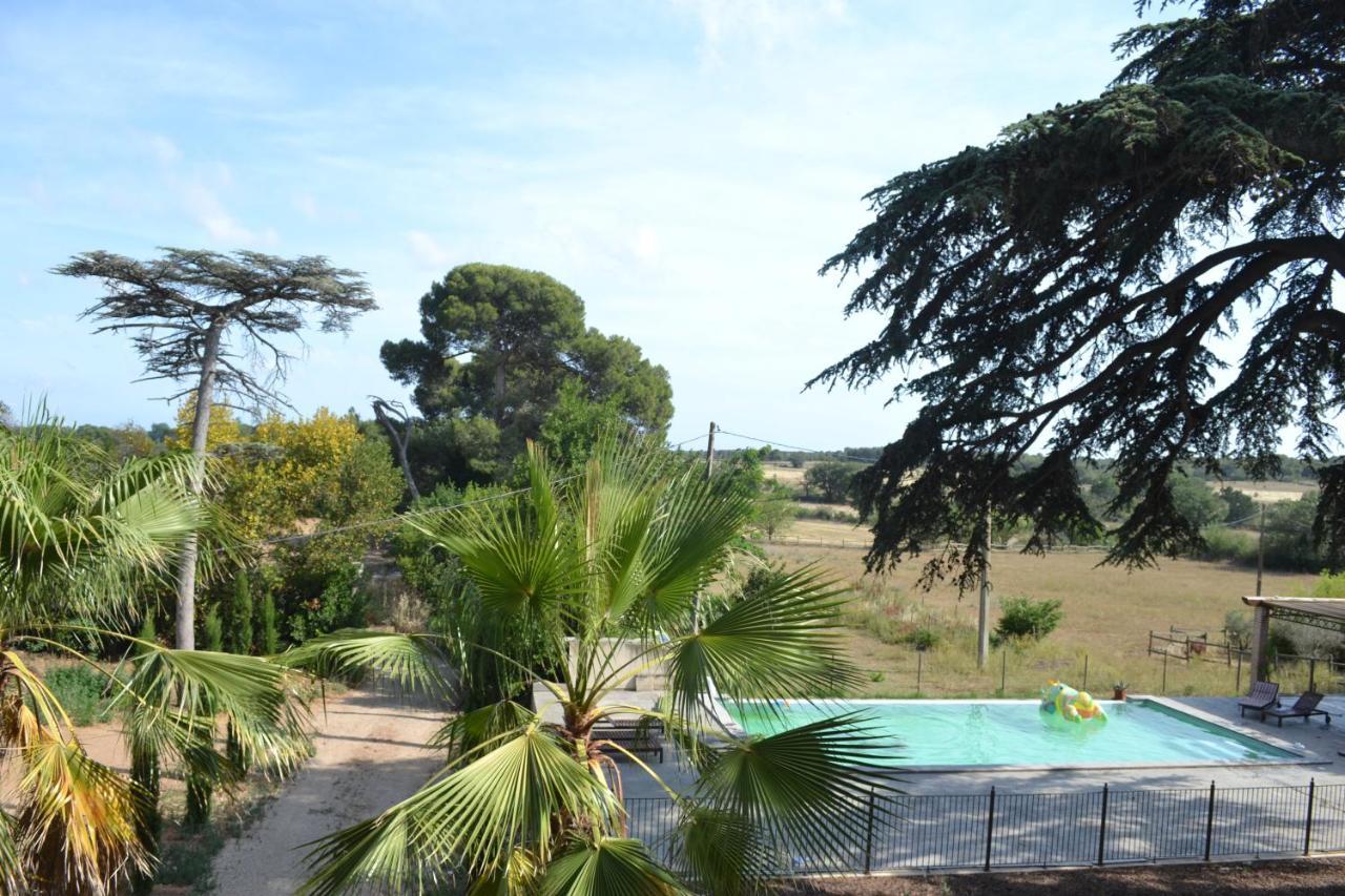 Saint-Thibéry Domaine Les Castans B&B 외부 사진
